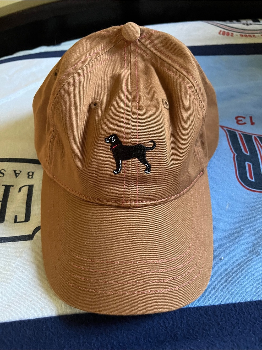 Vintage! The Black Dog Embroidered Dog Canvas Cap - Brown